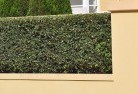 Belmont VIChard-landscaping-surfaces-8.jpg; ?>